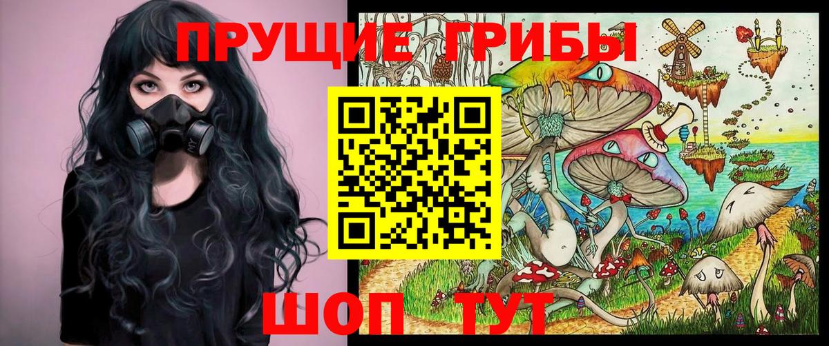 Галлюциногенные грибы прущие грибы  Псилоцибиновые грибы Psilocybine cubensis  Вход с VPN  Павлово 