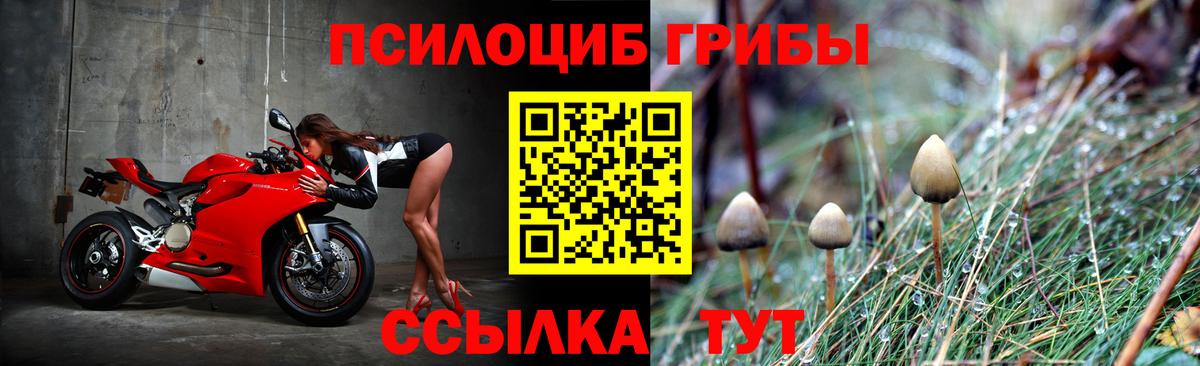 Галлюциногенные грибы мухоморы Павлово